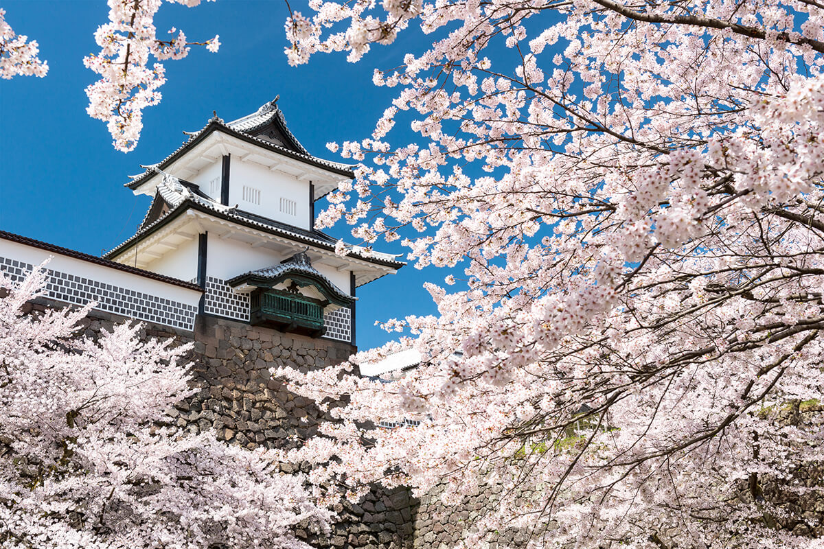 息吹を感じる春の旅行におすすめの町家